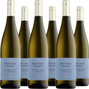 6 Voordeelpakket Sauvignon Blanc Trentino DOC Bottega Vinai