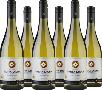 6 Voordeelpakket Santa Digna Chardonnay