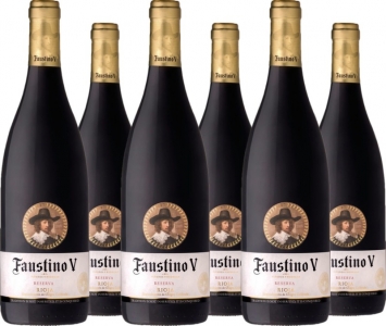 6 Voordeelpakket Faustino V Reserva