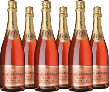 6 Voordeelpakket Juve y Camps Brut Rose Pinot Noir