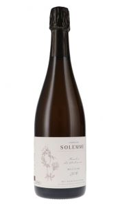 Ambre de Solemme, Blanc de Noirs, Brut Nature, Millésimé 2016 Solemme Champagne
