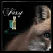 Foxy DSH