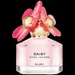 Daisy Blush