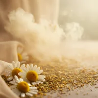 chamomile