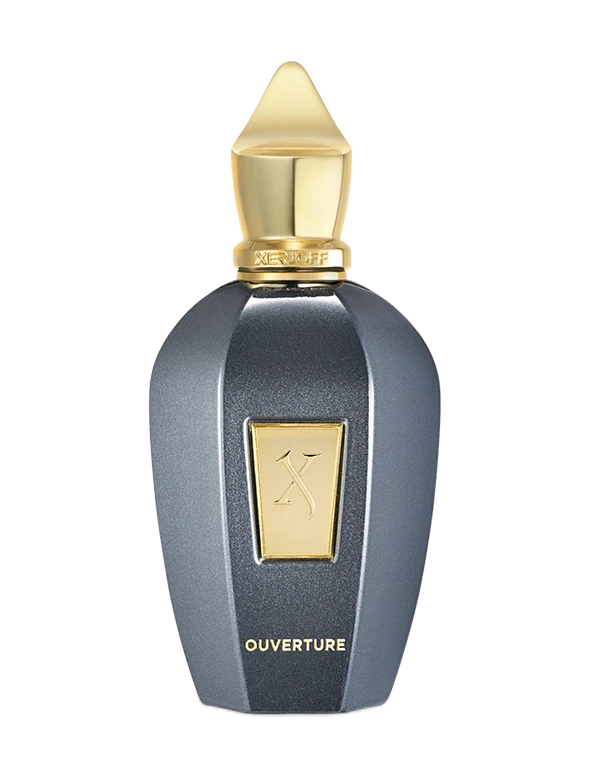 Ouverture