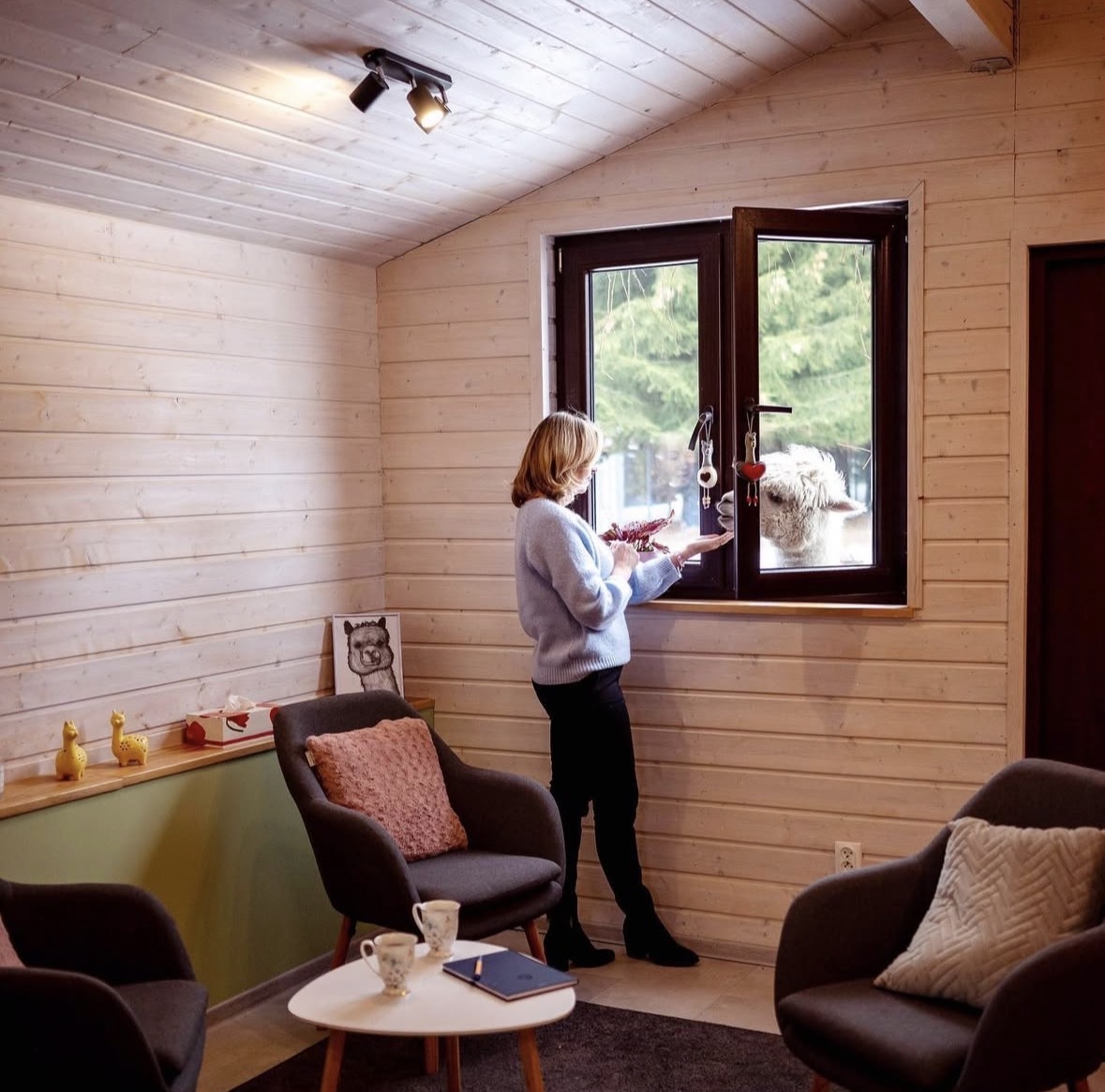 Wnętrze gabinetu - fotele