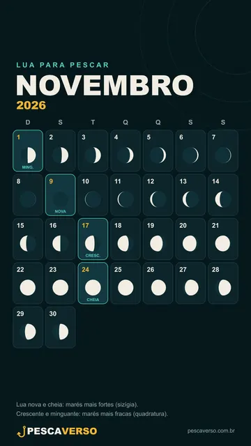 Lua de novembro de 2026 (celular)