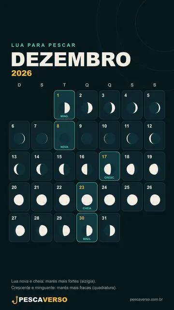 Lua de dezembro de 2026 (celular)