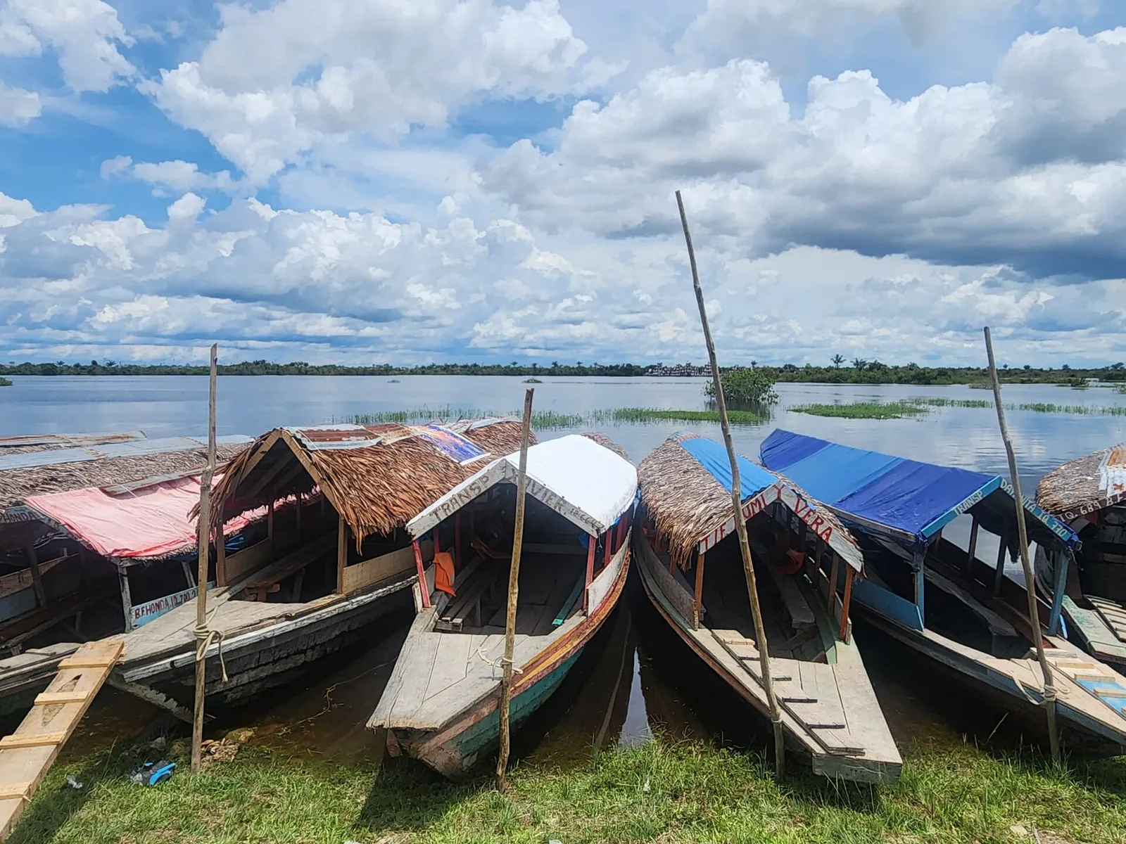 Amazon river scene.jpg