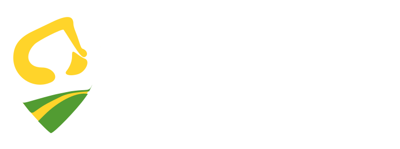 Pesoo Logo
