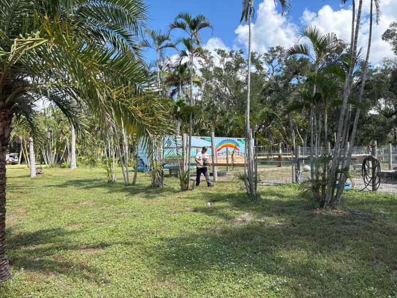 Carpenter Ant Control Fort Myers