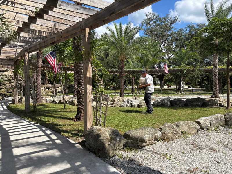 North Port Spider Control Services