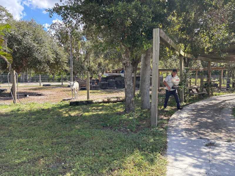 Insured Roach Control Services Cape Coral