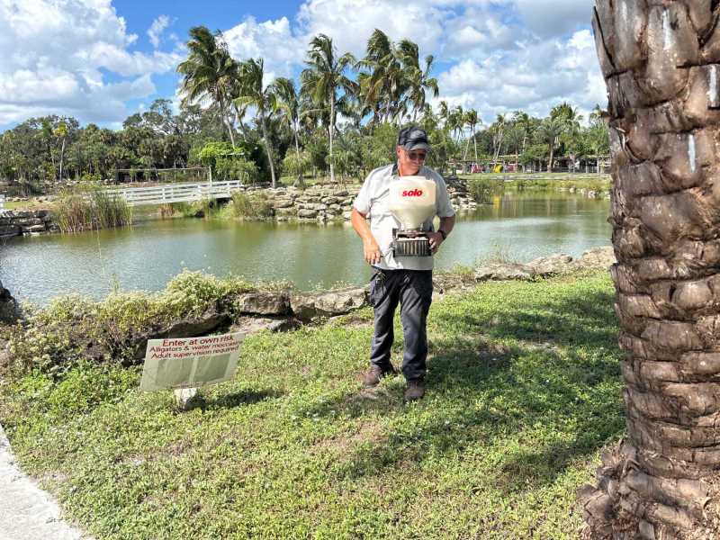 Port Charlotte termite control and removal