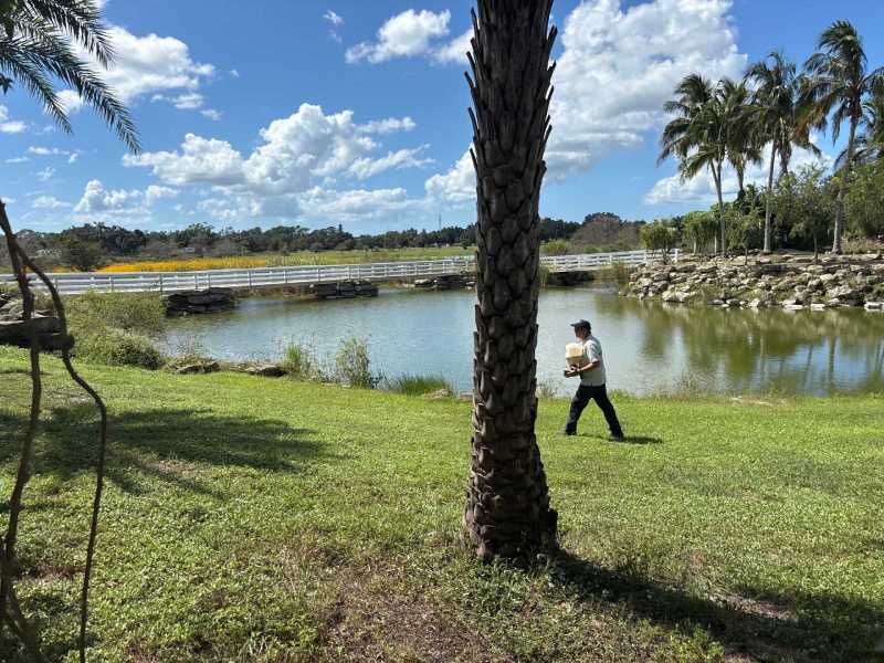 Termite management experts Port Charlotte