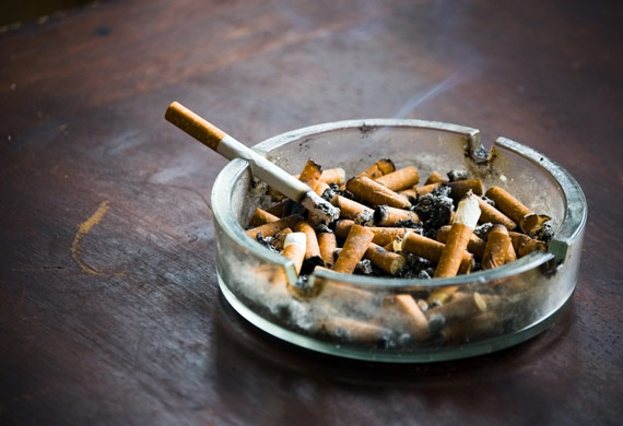 bad pet sitter cigarette ash tray shutterstock