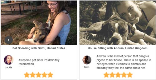 Dog boarding reviews