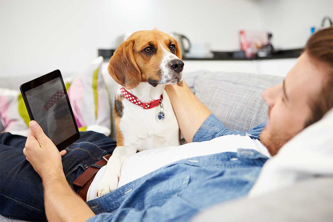 sitter with dog on sofa