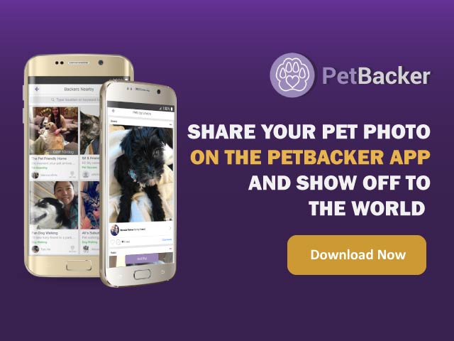 Share your dog photos with PetBacker app