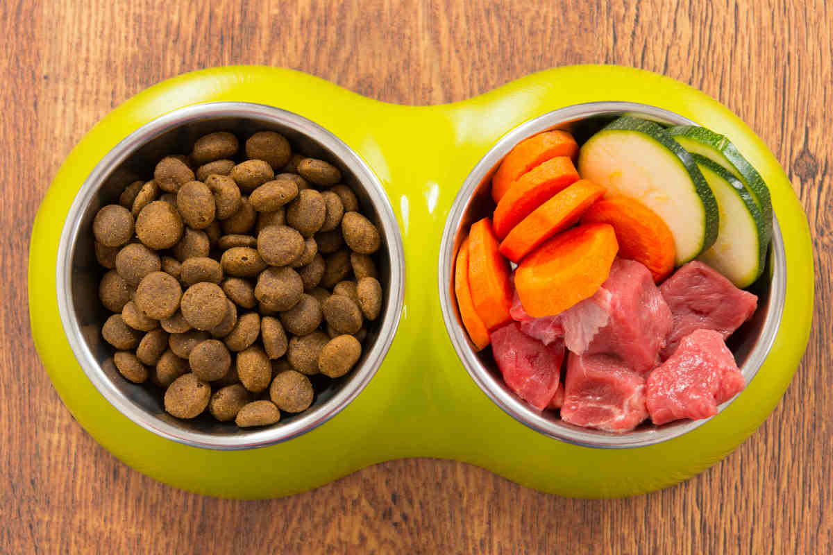 pet food