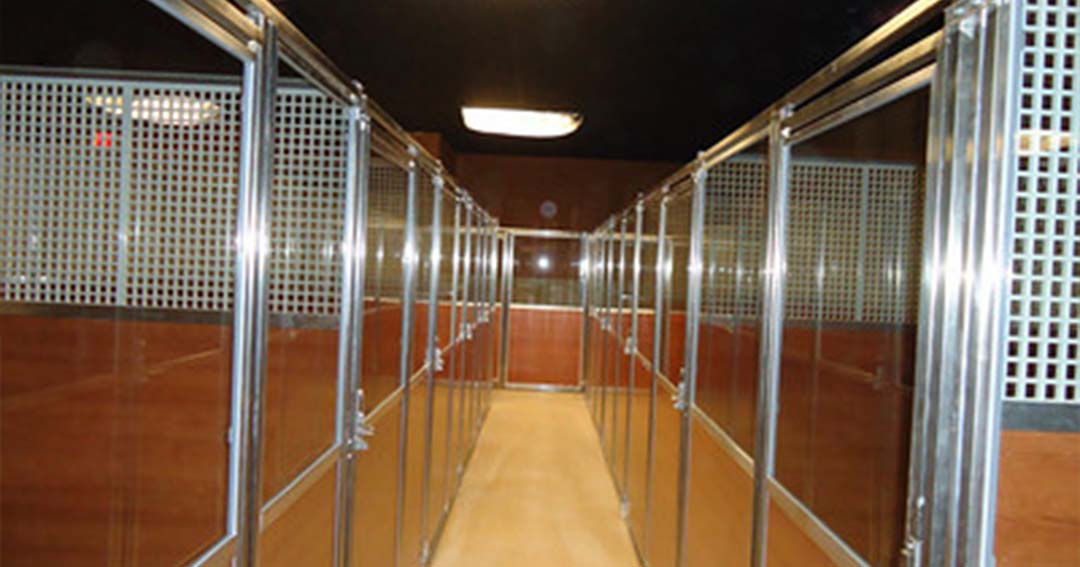 dog boarding hotel