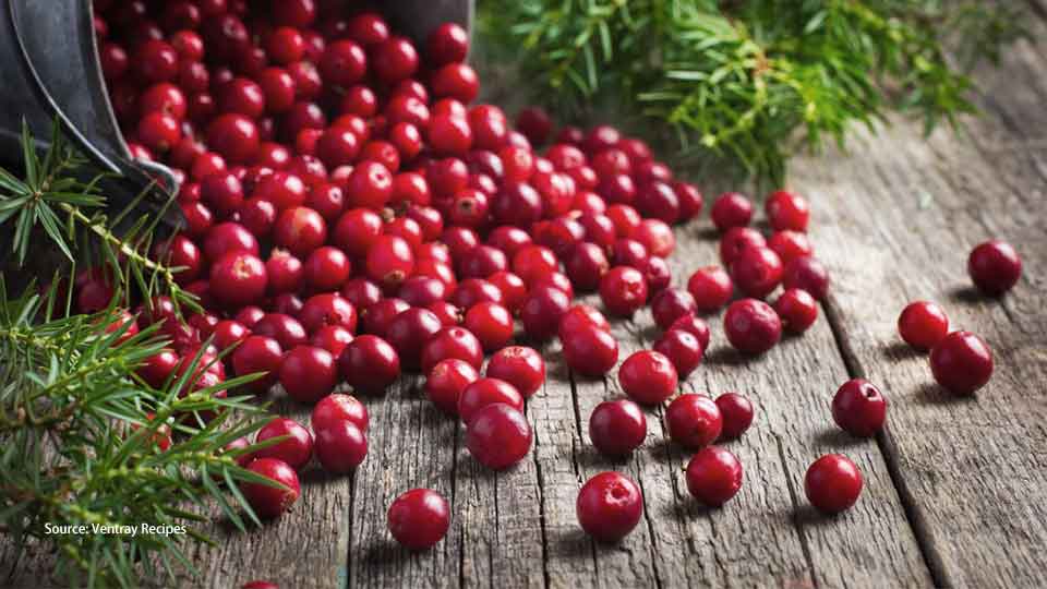 Foods that are safe for dogs cranberry