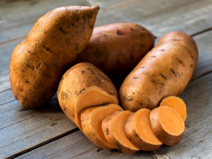 sweet potato good for dogs