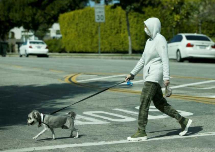 man walking dog during covid-19 pandemnic