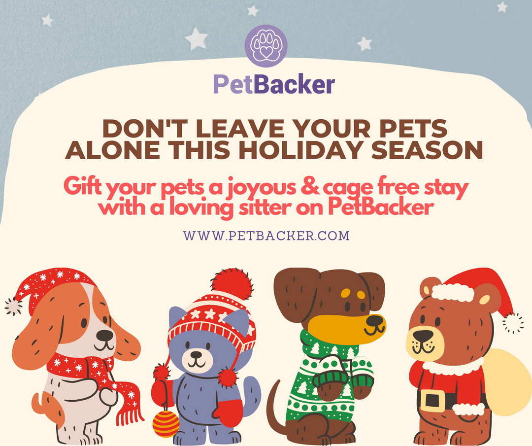 Book a pet-sitter with petbacker this holiday