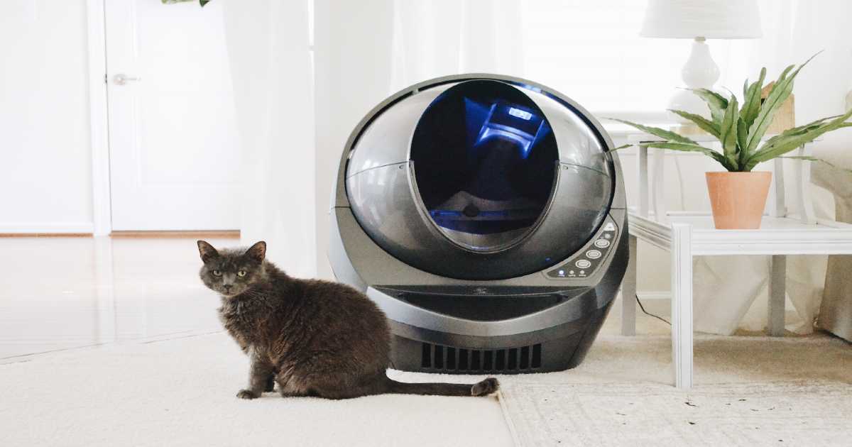 cat-electronic-litter-box