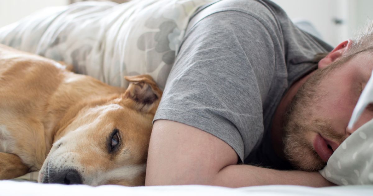 dog-sleeping-with-overwhelmed-owner