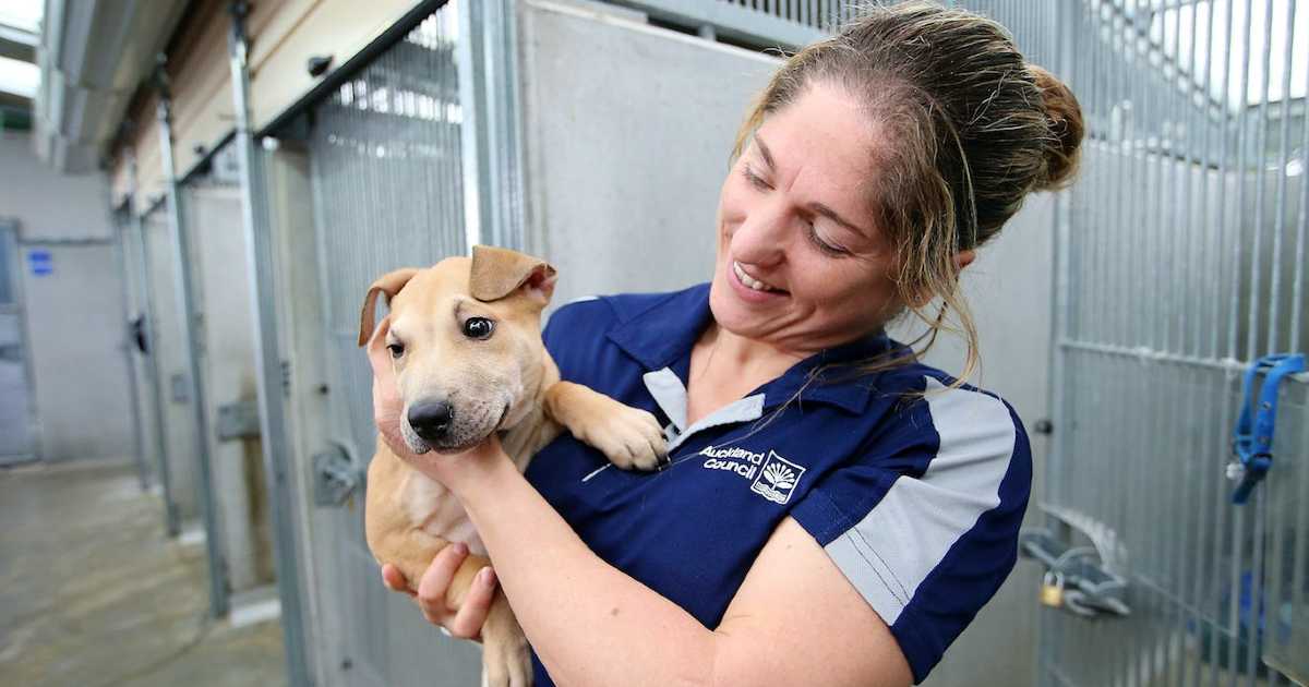 friendly-staff-with-dog