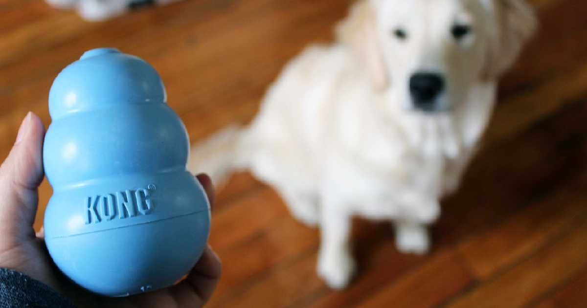 kong-toy-for-dogs