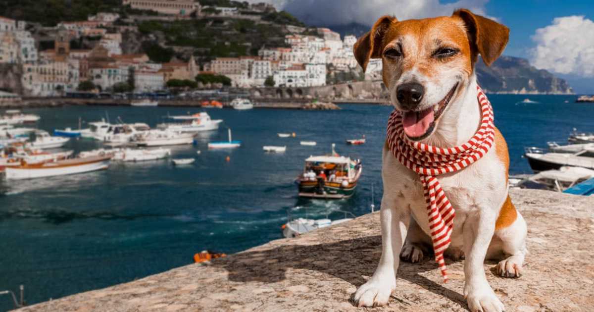 traveling-with-dog-italy