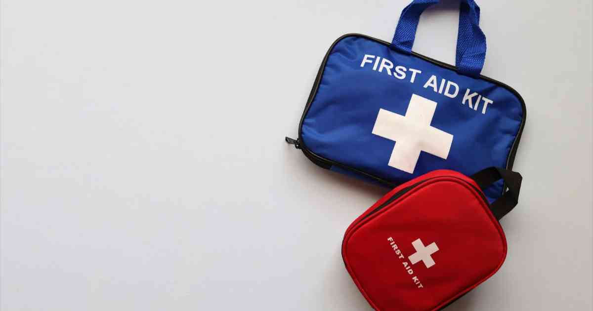 dog-first-aid-kit-and-other-essentials