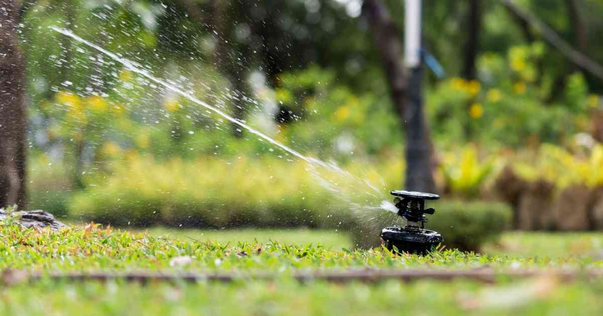 motion-activated-sprinkler