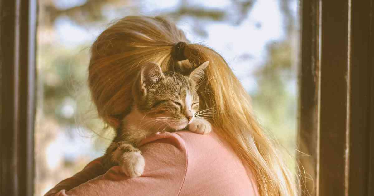 person-hugging-a-cat