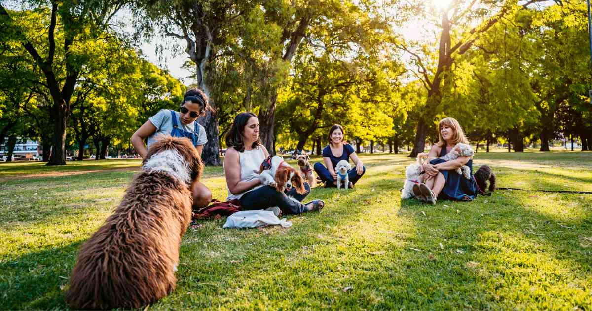 person-talking-to-another-dog-owner