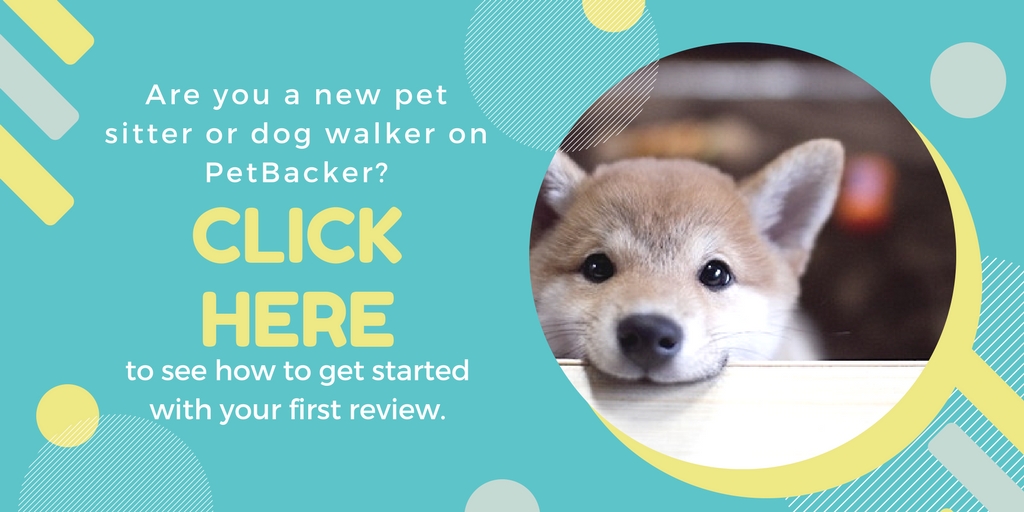 Sign up as Pet Sitters or Dog Walkers with PetBacker