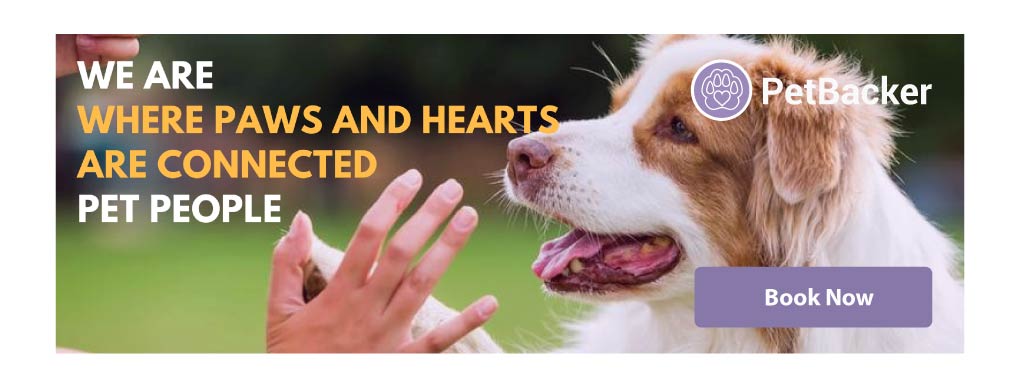 where-paw-and-heart-connected-pet-people-1024-white-border