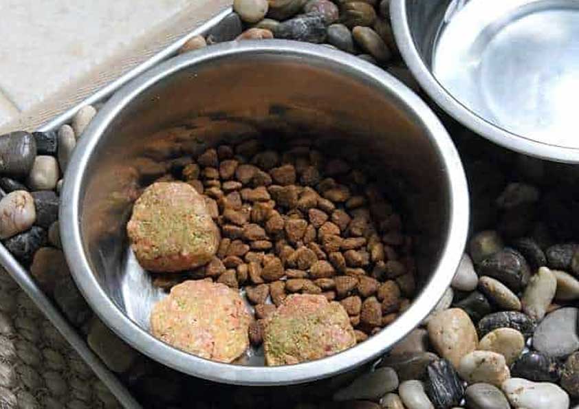 Homemade Raw Dog Food