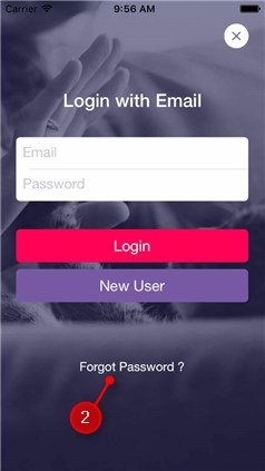 reset password 2