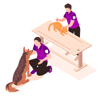 Petbacker App