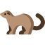 Ferret