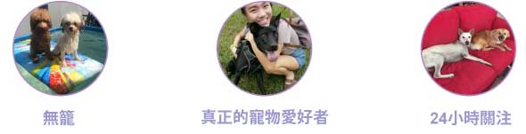 PetBacker Pet Lover