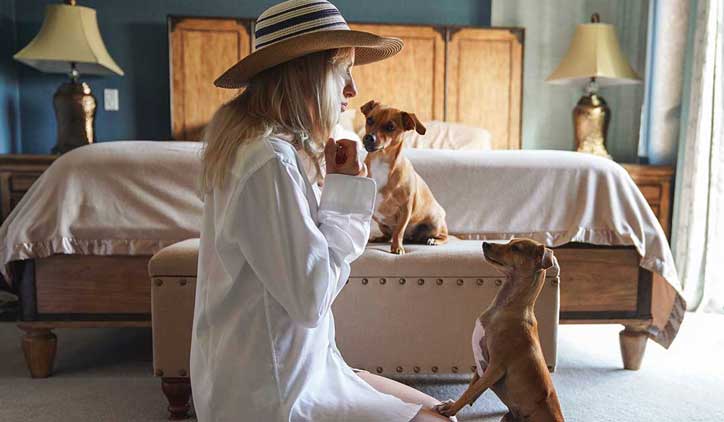Pet Boarding PetBacker