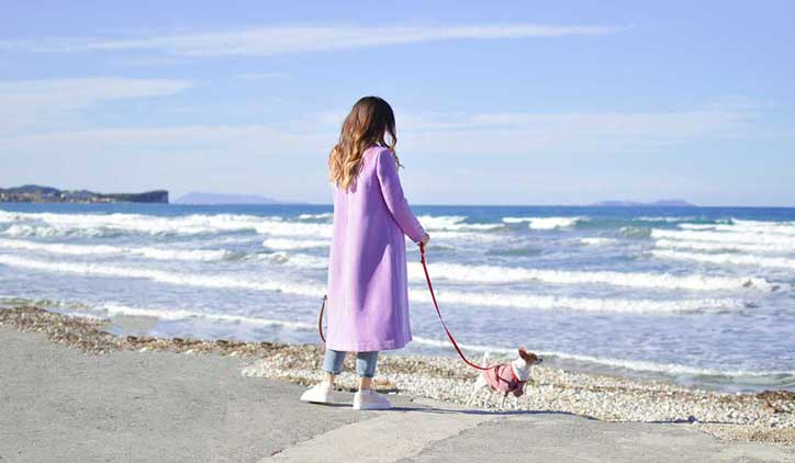Dog Walking Petbacker