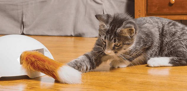 stimulating cat toys for indoor cats