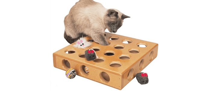 best toys for indoor cats