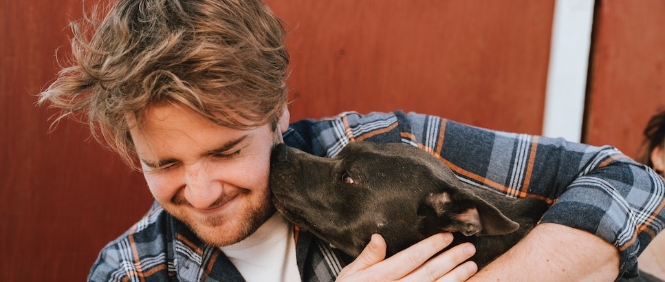 soft dog treats for bad breath